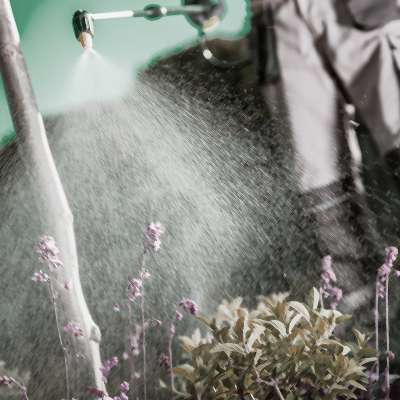 5TopPollut_Pesticides